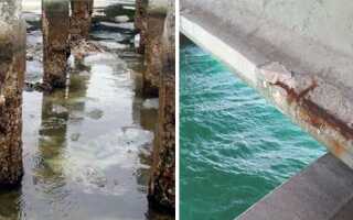 Влияние морской воды на бетон