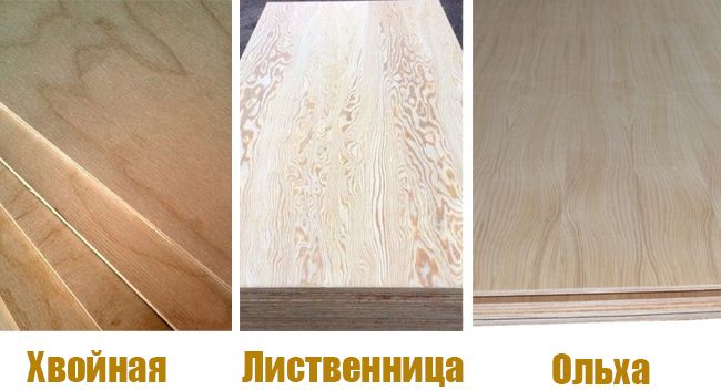 Тип дерева фанеры